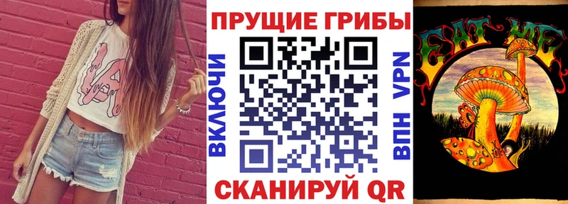 shop телеграм  как найти закладки  Южно-Сухокумск  Галлюциногенные грибы GOLDEN TEACHER  OMG ТОР 